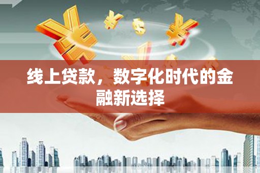 新龙线上贷款，数字化时代的金融新选择