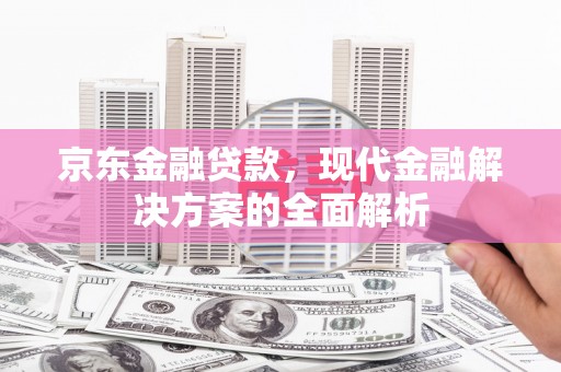 新龙京东金融贷款，现代金融解决方案的全面解析