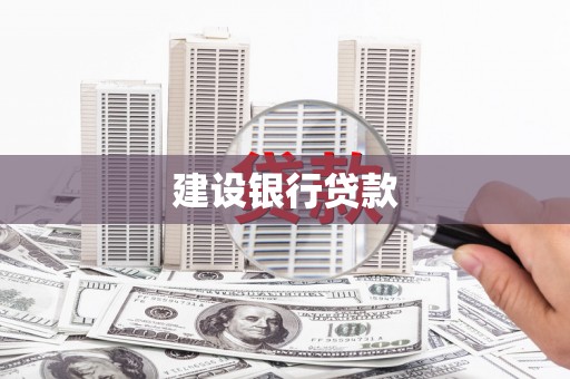 新龙建设银行贷款