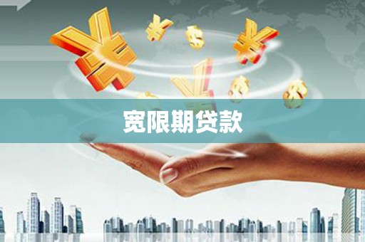 新龙宽限期贷款
