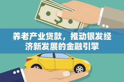 新龙养老产业贷款，推动银发经济新发展的金融引擎