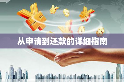 新龙从申请到还款的详细指南