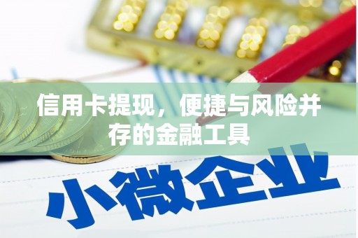 新龙信用卡提现，便捷与风险并存的金融工具