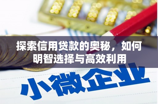 新龙探索信用贷款的奥秘，如何明智选择与高效利用