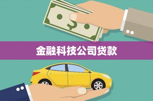 新龙金融科技公司贷款