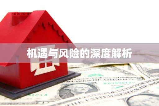 新龙机遇与风险的深度解析