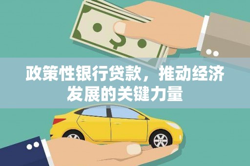 新龙政策性银行贷款，推动经济发展的关键力量