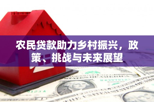 新龙农民贷款助力乡村振兴，政策、挑战与未来展望