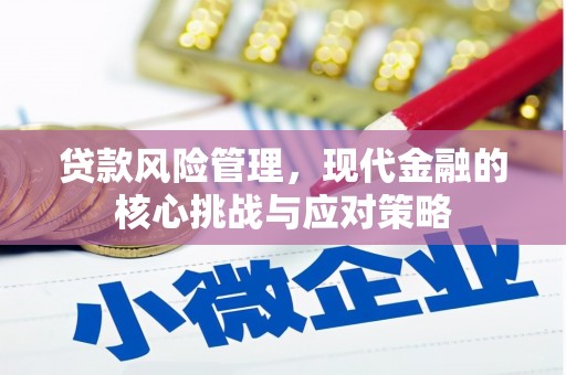 新龙贷款风险管理，现代金融的核心挑战与应对策略