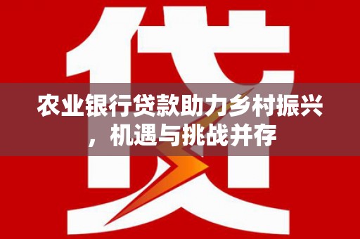 新龙农业银行贷款助力乡村振兴，机遇与挑战并存