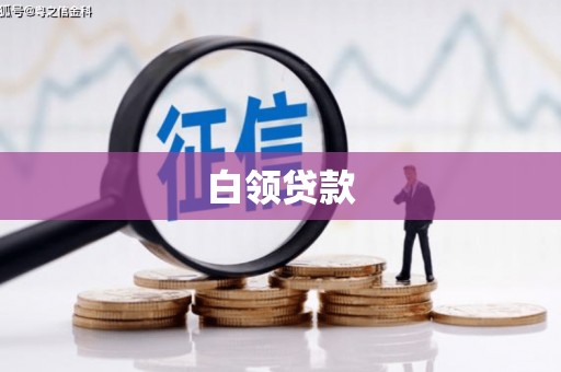 新龙白领贷款