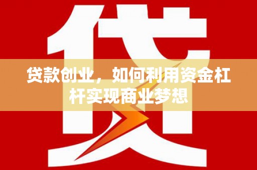 新龙贷款创业，如何利用资金杠杆实现商业梦想
