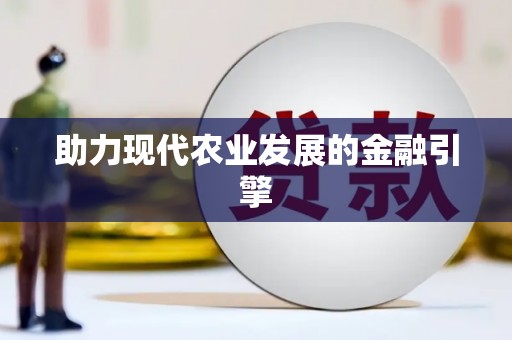 新龙助力现代农业发展的金融引擎