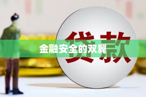 新龙金融安全的双翼