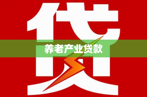 新龙养老产业贷款