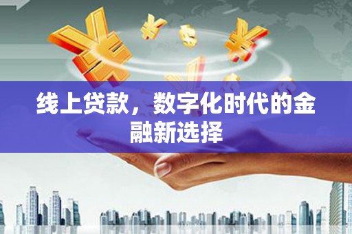 新龙线上贷款，数字化时代的金融新选择