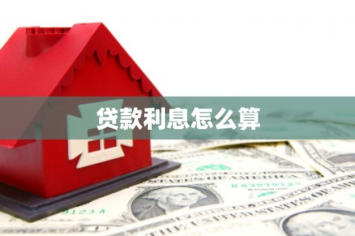 新龙贷款利息怎么算