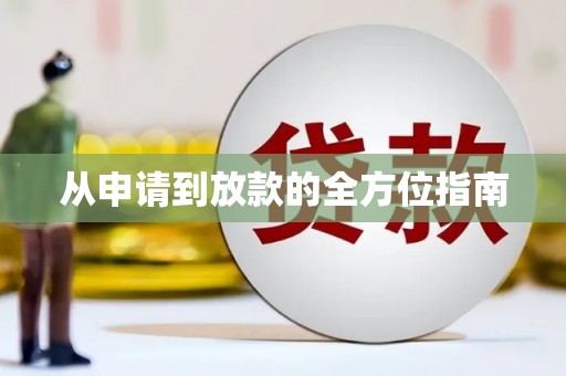 新龙从申请到放款的全方位指南