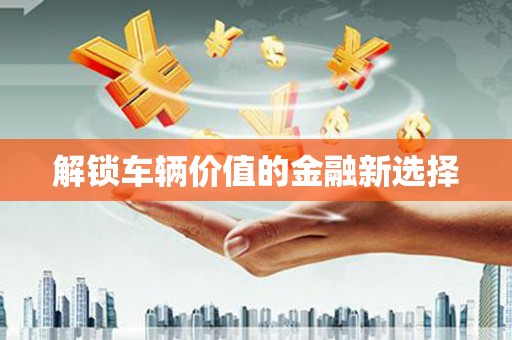 新龙解锁车辆价值的金融新选择