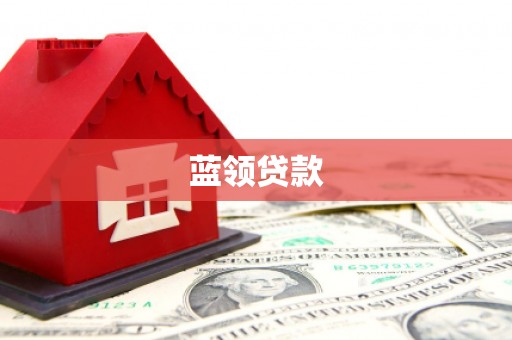 新龙蓝领贷款
