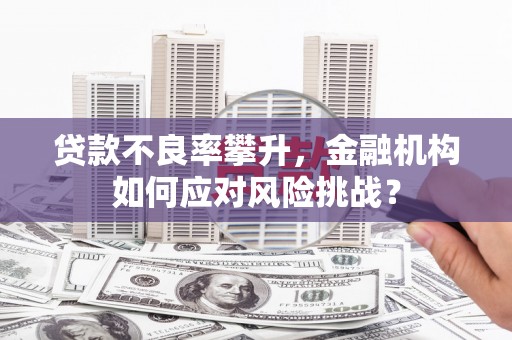 新龙贷款不良率攀升，金融机构如何应对风险挑战？