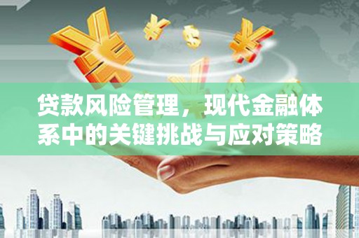 新龙贷款风险管理，现代金融体系中的关键挑战与应对策略