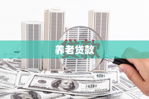 新龙养老贷款