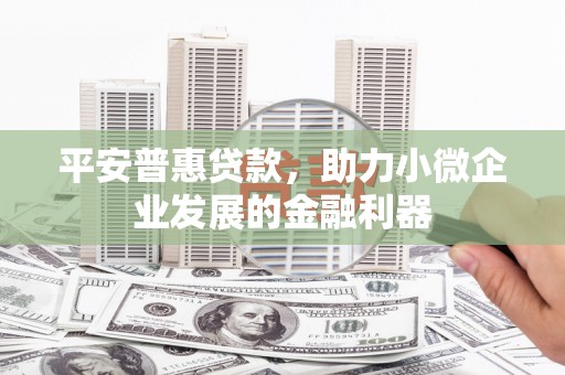 新龙平安普惠贷款，助力小微企业发展的金融利器