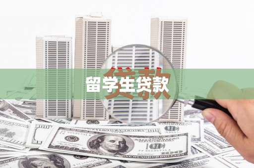新龙留学生贷款