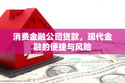 新龙消费金融公司贷款，现代金融的便捷与风险