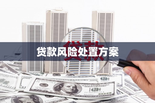 新龙贷款风险处置方案