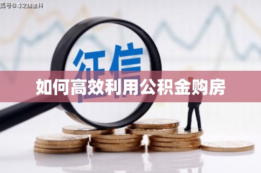新龙如何高效利用公积金购房