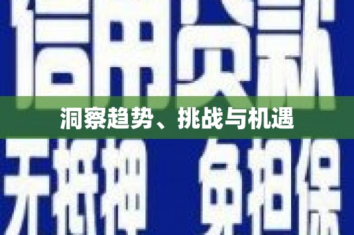新龙洞察趋势、挑战与机遇