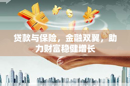 新龙贷款与保险，金融双翼，助力财富稳健增长