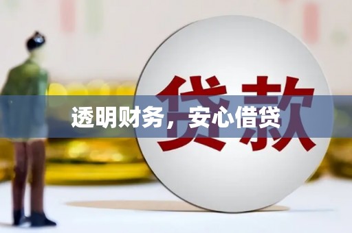 新龙透明财务，安心借贷
