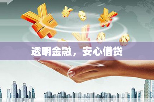 新龙透明金融，安心借贷