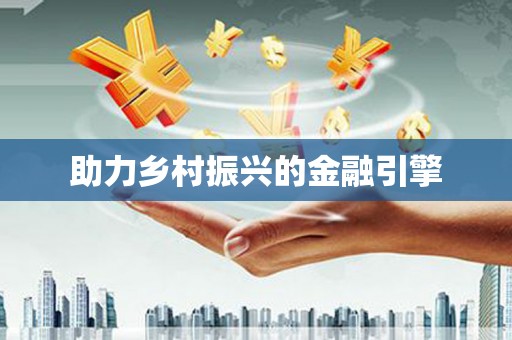 新龙助力乡村振兴的金融引擎