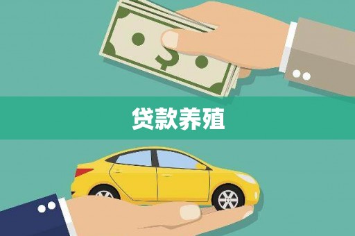 新龙贷款养殖