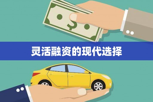 新龙灵活融资的现代选择