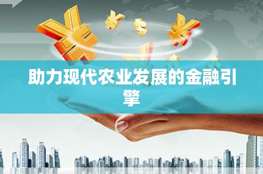 新龙助力现代农业发展的金融引擎