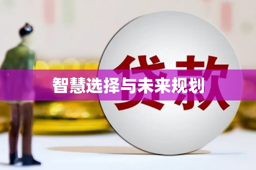 新龙智慧选择与未来规划