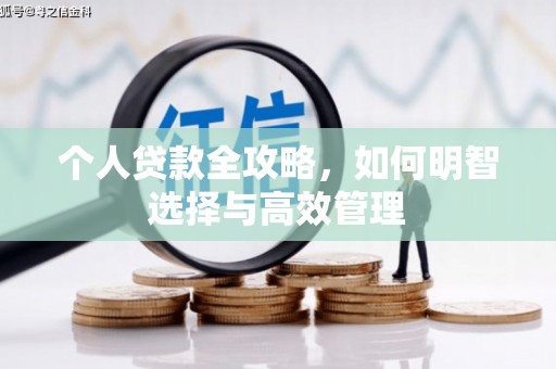 新龙个人贷款全攻略，如何明智选择与高效管理