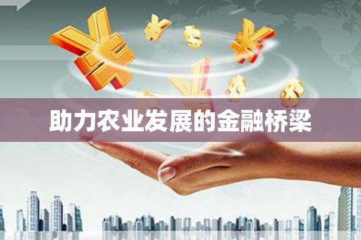 新龙助力农业发展的金融桥梁