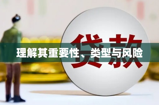 新龙理解其重要性、类型与风险
