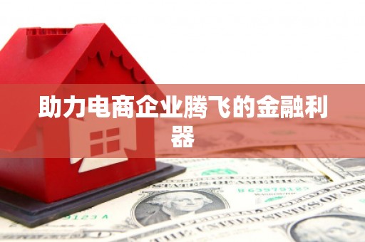新龙助力电商企业腾飞的金融利器
