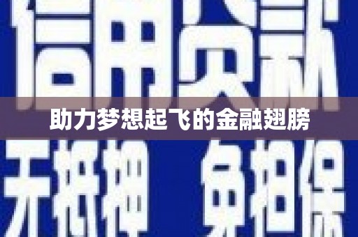 新龙助力梦想起飞的金融翅膀