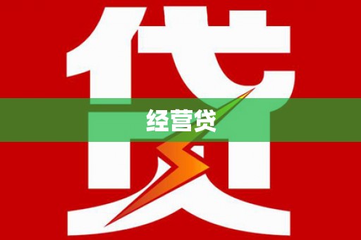 新龙经营贷