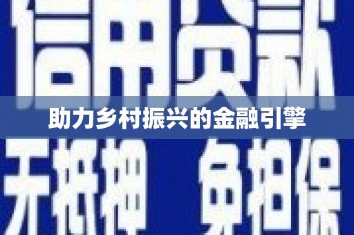 新龙助力乡村振兴的金融引擎