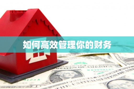 新龙如何高效管理你的财务