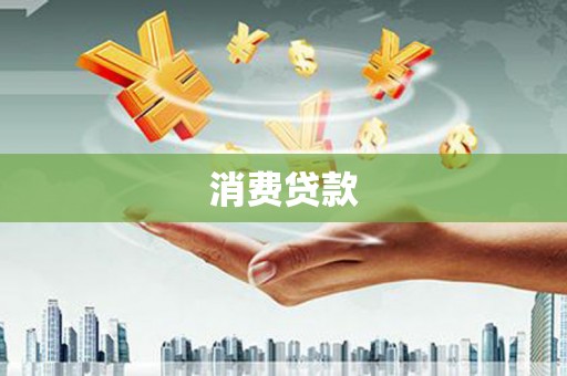 新龙消费贷款